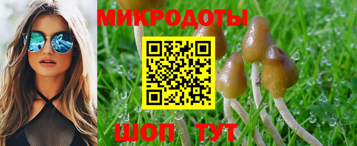 Псилоцибиновые грибы Psilocybine cubensis Видное