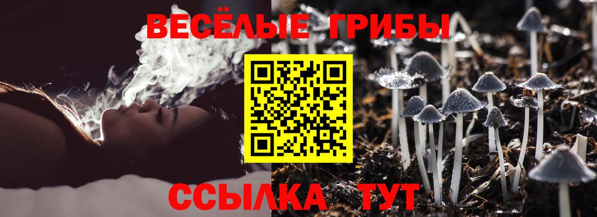 Галлюциногенные грибы мицелий  Вход с VPN  Видное 
